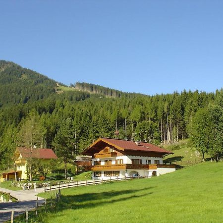 Appartement Landhaus Dickhardt à Schladming Extérieur photo