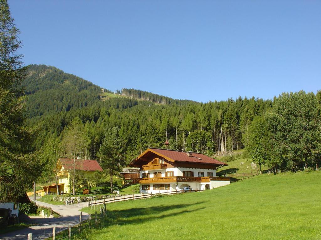 Appartement Landhaus Dickhardt à Schladming Extérieur photo